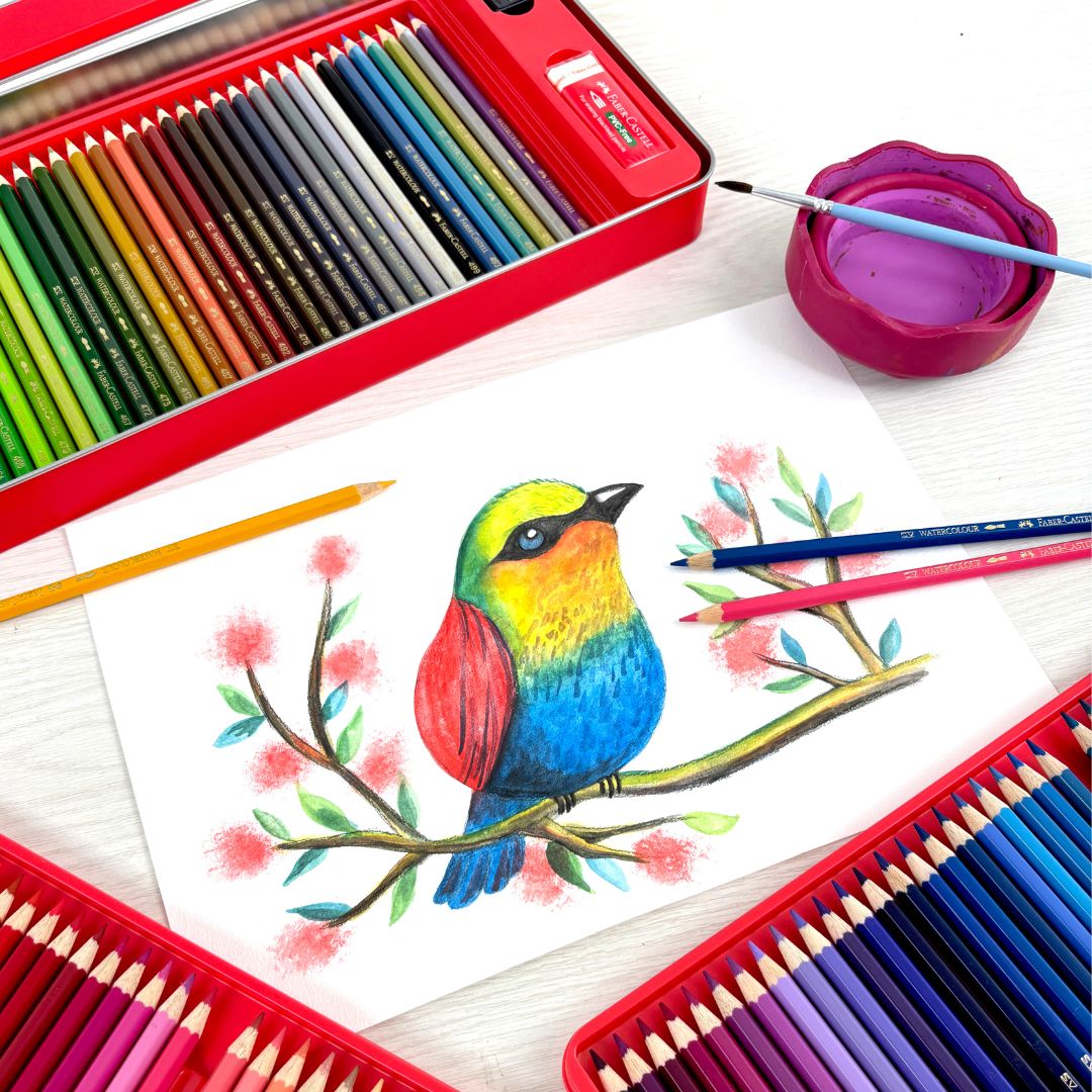 100 Watercolour Pencil Sketch Set